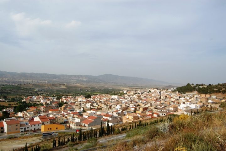 Vista general de Tíjola desde el oeste, con la sierra al fondo